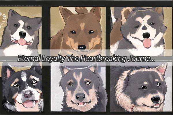 Eternal Loyalty The Heartbreaking Journey of a Dog Mourning Its Beloved Owner